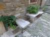 dsc07308_small.jpg