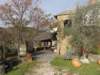 dsc07376_small.jpg