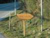 dsc07438_small.jpg
