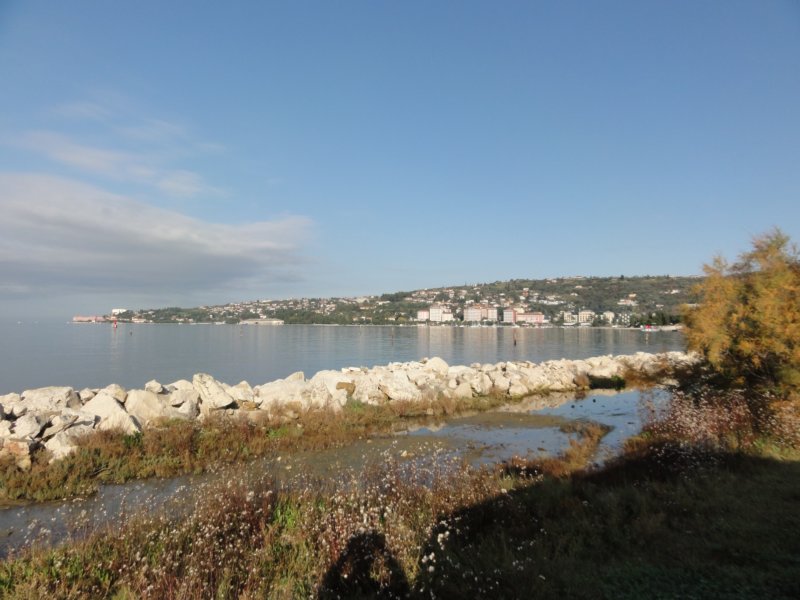 dsc06973.jpg
