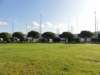 dsc06982_small.jpg