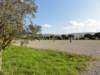 dsc06990_small.jpg