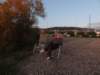 dsc07038_small.jpg