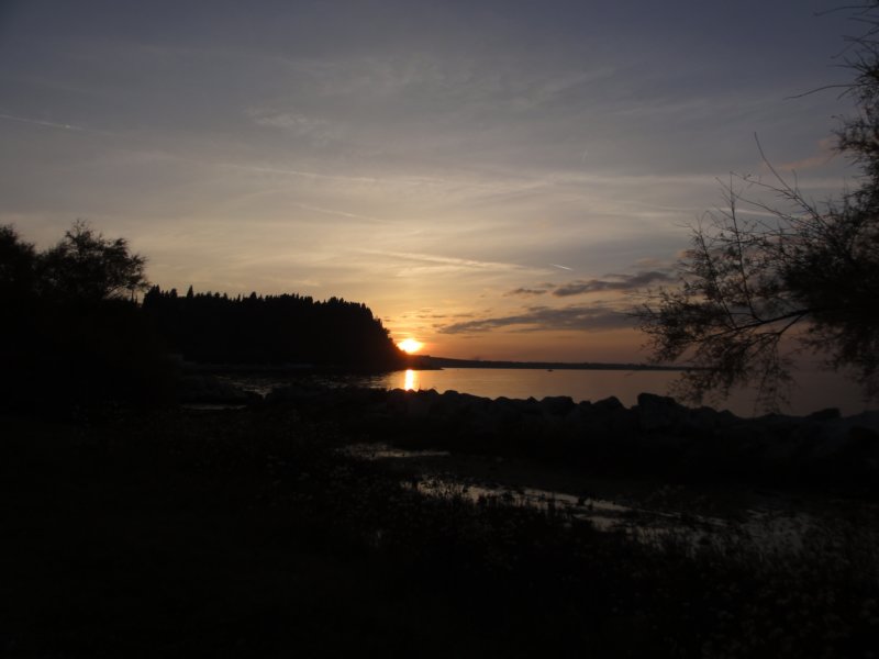 dsc07052.jpg