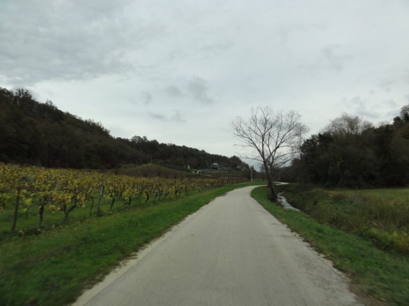 dsc07130.jpg
