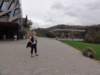 dsc07141_small.jpg