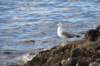 img_7772_small.jpg