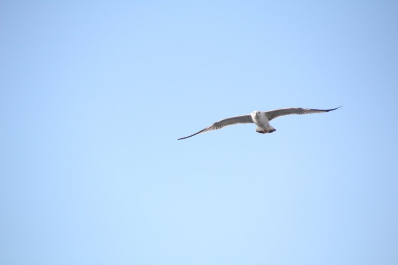 img_7774.jpg