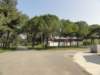 dsc03478_small.jpg