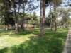 dsc03479_small.jpg