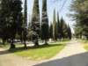 dsc03491_small.jpg