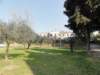 dsc03493_small.jpg