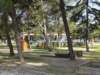 dsc03496_small.jpg