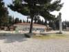 dsc03502_small.jpg