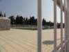 dsc03503_small.jpg
