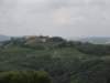 dsc06650_small.jpg