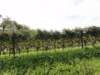 dsc06684_small.jpg