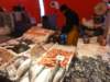 dsc03253_small.jpg
