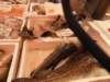 dsc03257_small.jpg
