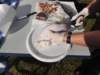 dsc03274_small.jpg