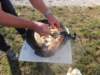 dsc03280_small.jpg