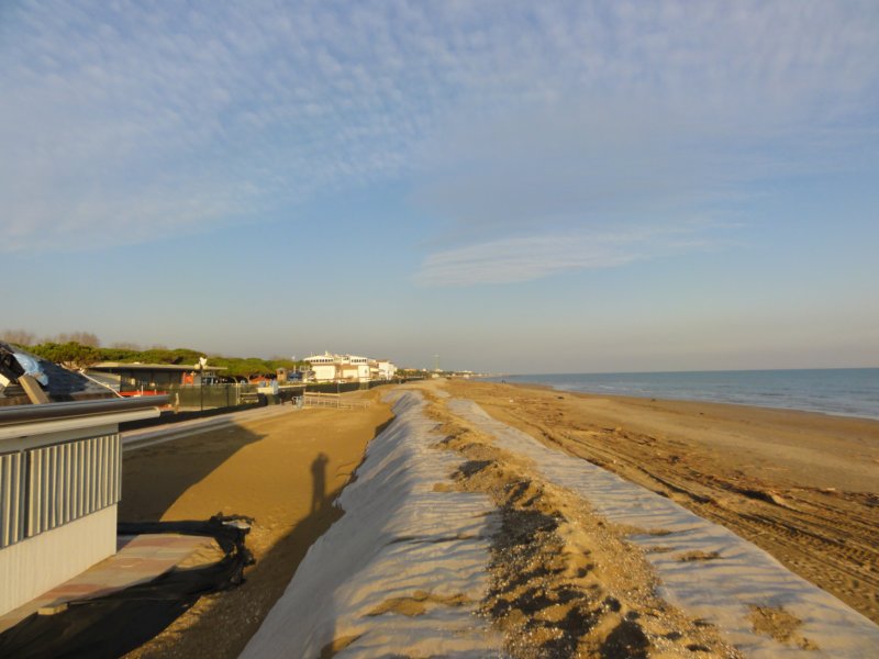 dsc03294.jpg