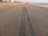 dsc03304_small.jpg