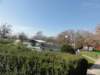 dsc03604_small.jpg