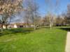 dsc03605_small.jpg