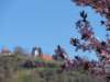dsc03614_small.jpg
