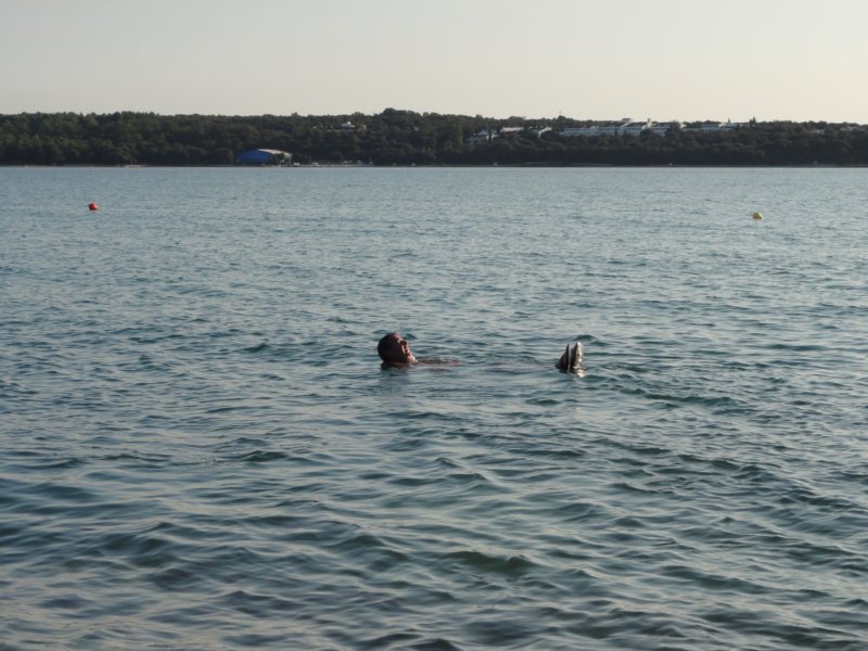 dsc06914.jpg