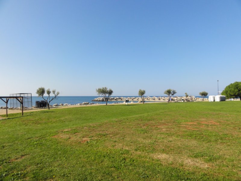 dsc06774.jpg