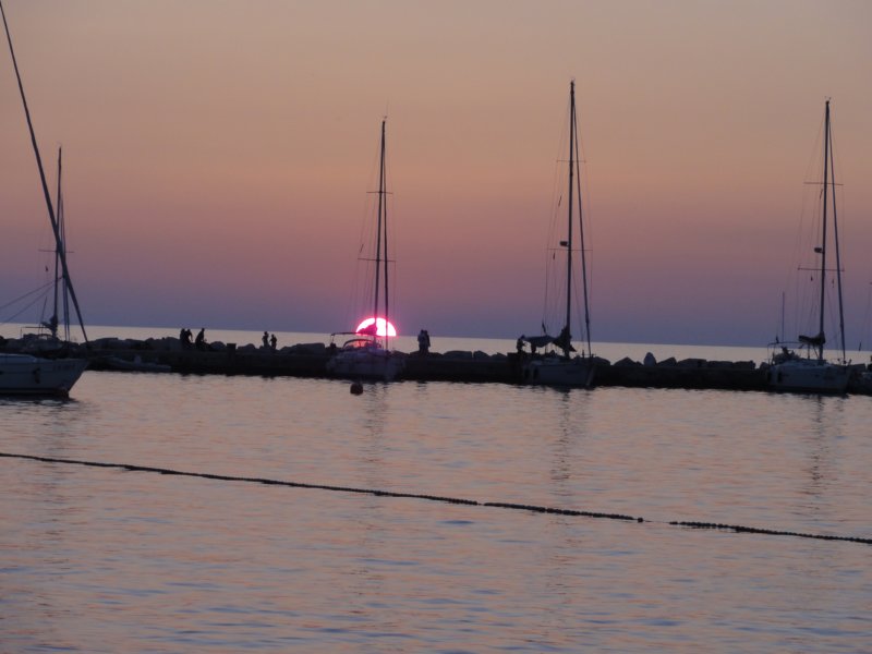 dsc06866.jpg