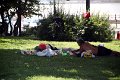 IMG_4313