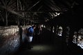 IMG_0301