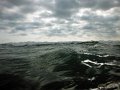DSCF0959