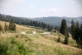 IMG_6475
