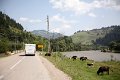 IMG_7195