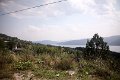 IMG_7232