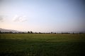 IMG_7547