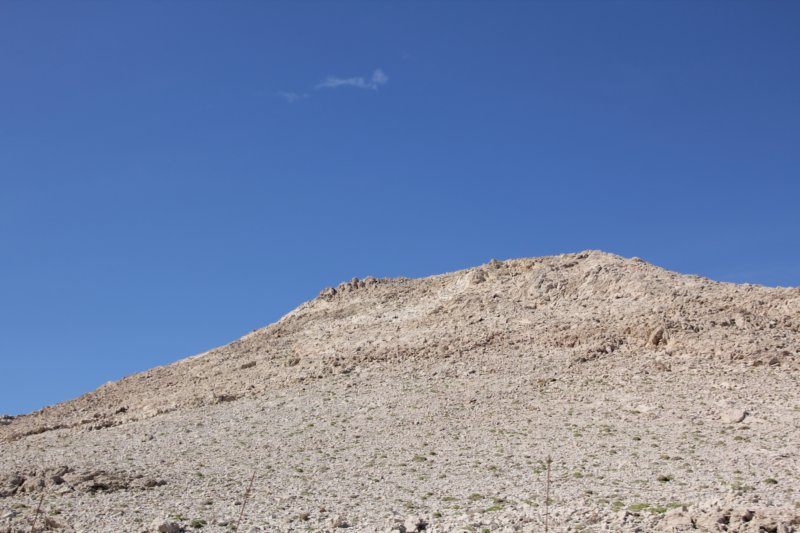 photo19.jpg