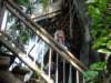 dsc03844_small.jpg