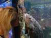 dsc03851_small.jpg
