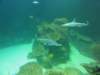 dsc03855_small.jpg