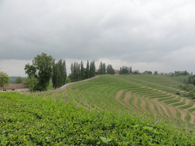 dsc03975.jpg