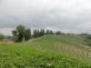 dsc03975_small.jpg