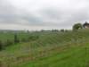 dsc03986_small.jpg
