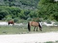 DSC00302