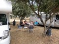 DSC00331