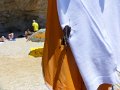 DSC00578